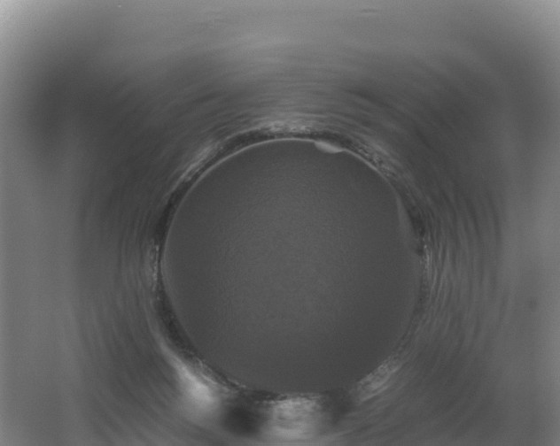 X0000062620168200512230956