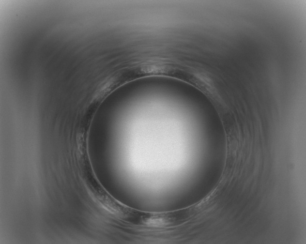 X0000062620171200512230956