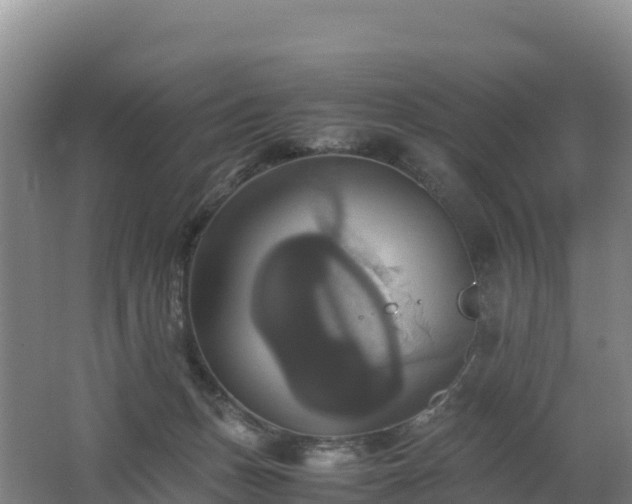 X0000062620175200512230956