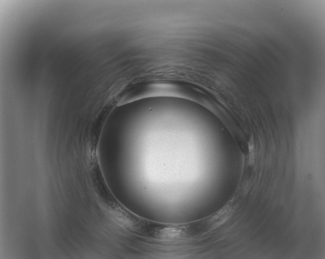 X0000062620176200512230956