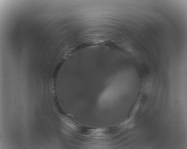 X0000062620182200512230956