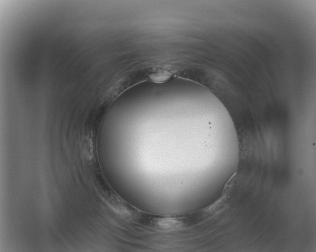 X0000062620183200512230956