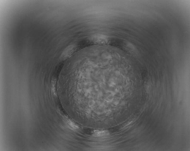 X0000062620185200512230956