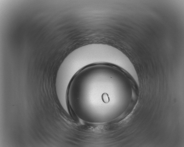 X0000062620186200512230956