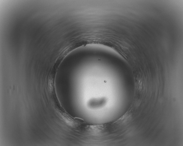 X0000062620188200512230956