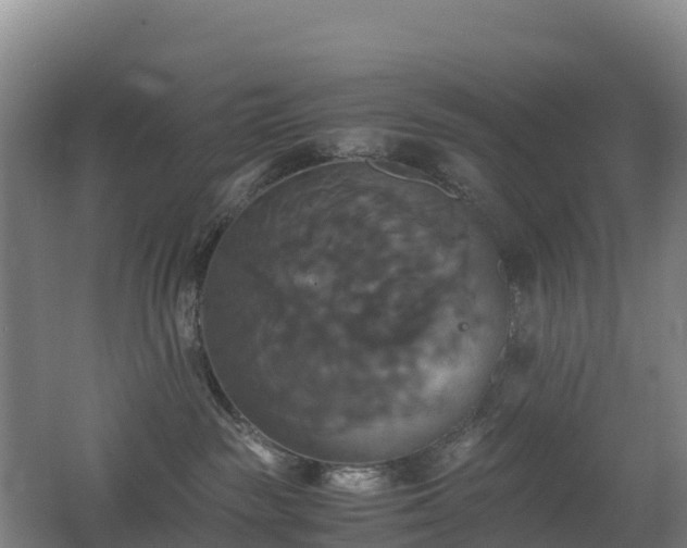 X0000062620189200512230956