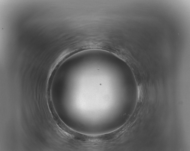 X0000062620195200512230955