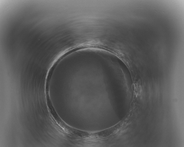 X0000062620196200512230955