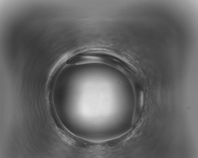 X0000062620197200512230955