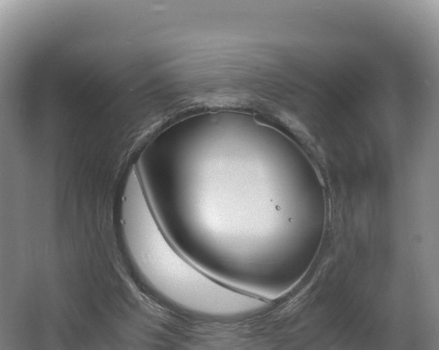 X0000062620201200512230955