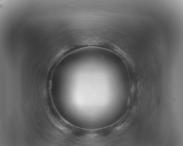 X0000062620203200512230955