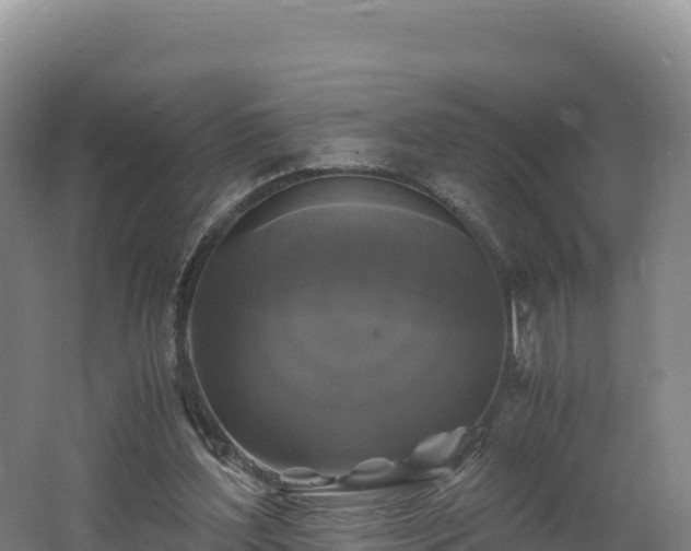 X0000062620204200512230955