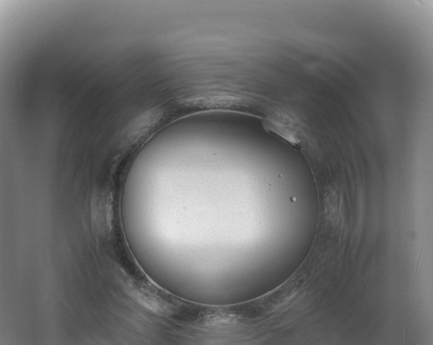 X0000062620206200512230955