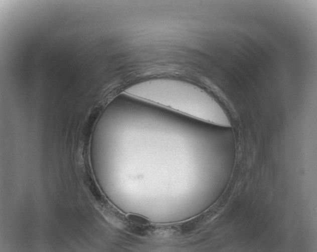 X0000062620209200512230955