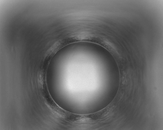 X0000062620210200512230955