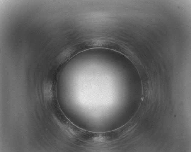 X0000062620216200512230955