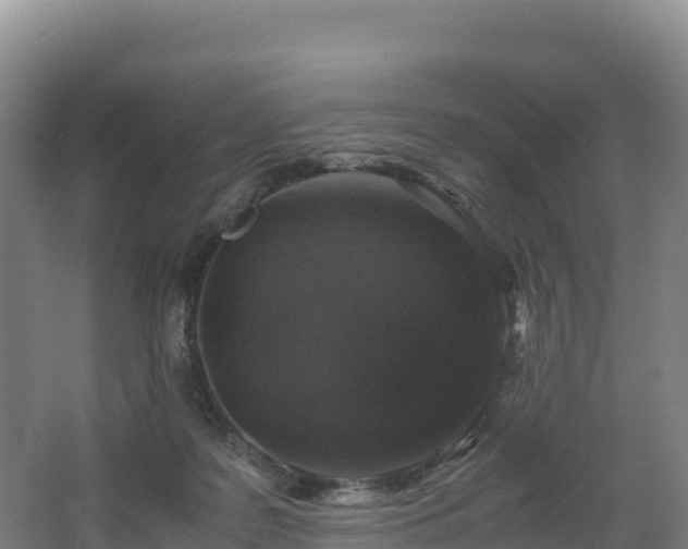 X0000062620219200512230955