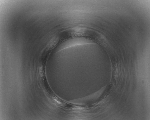 X0000062620224200512230955