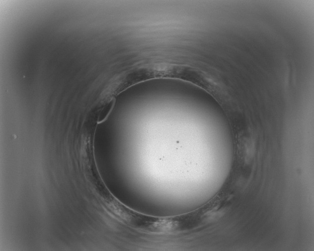 X0000062620225200512230955