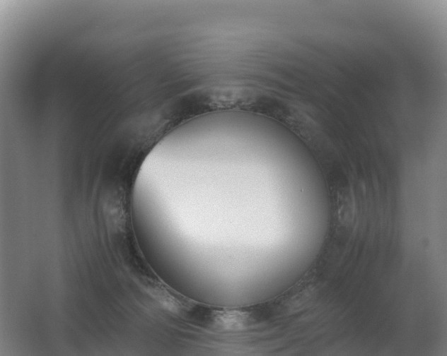 X0000062620226200512230955