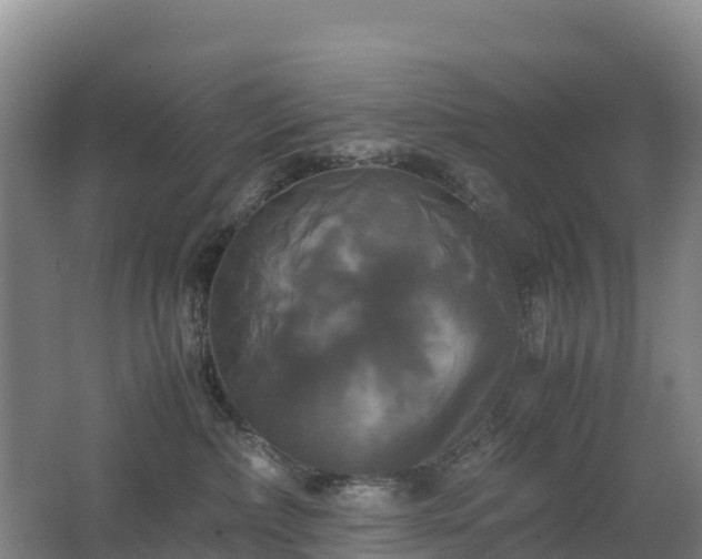 X0000062620236200512230955