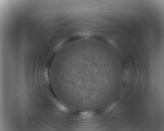 X0000062620238200512230955