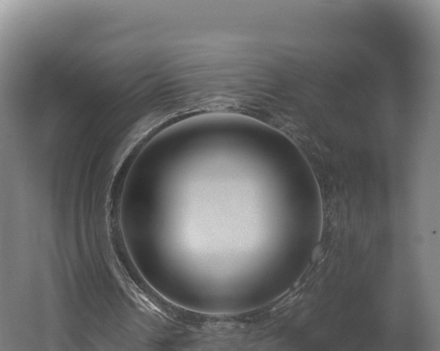 X0000062620242200512230954