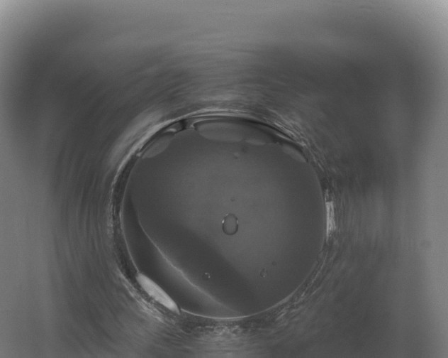 X0000062620243200512230954