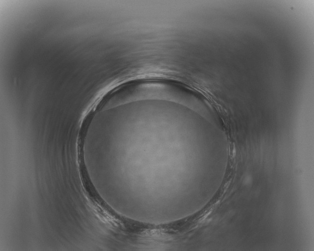 X0000062620244200512230954