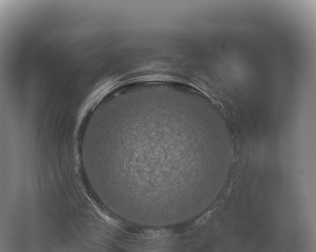X0000062620245200512230954