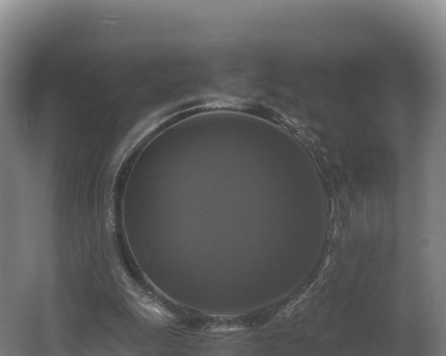X0000062620247200512230954