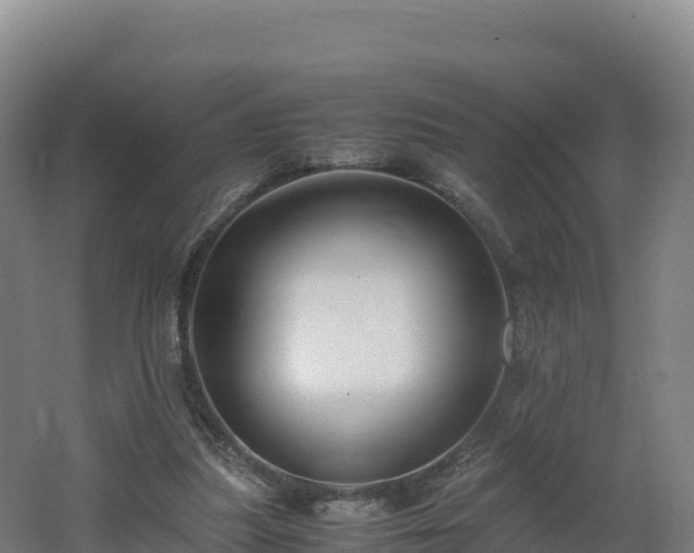 X0000062620251200512230954