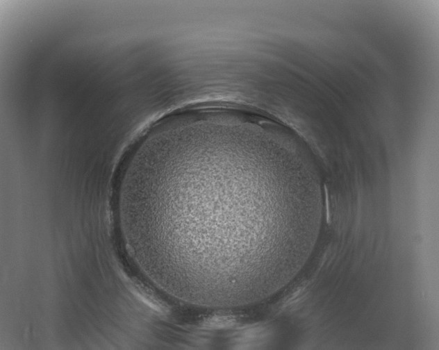 X0000062620252200512230954