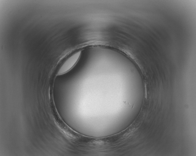 X0000062620253200512230954