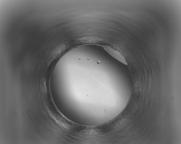 X0000062620254200512230954