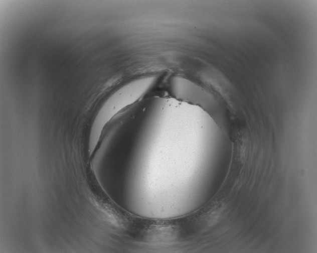 X0000062620260200512230954
