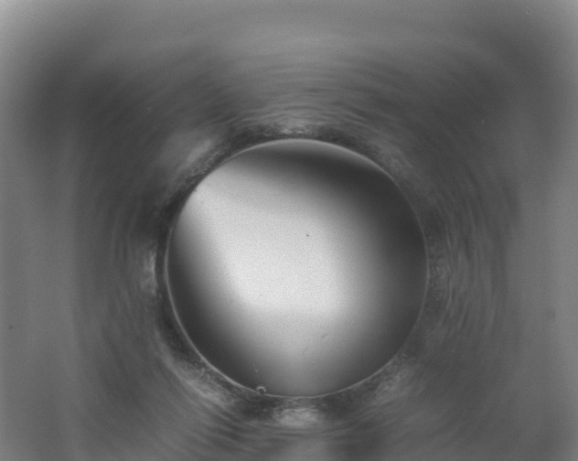 X0000062620262200512230954