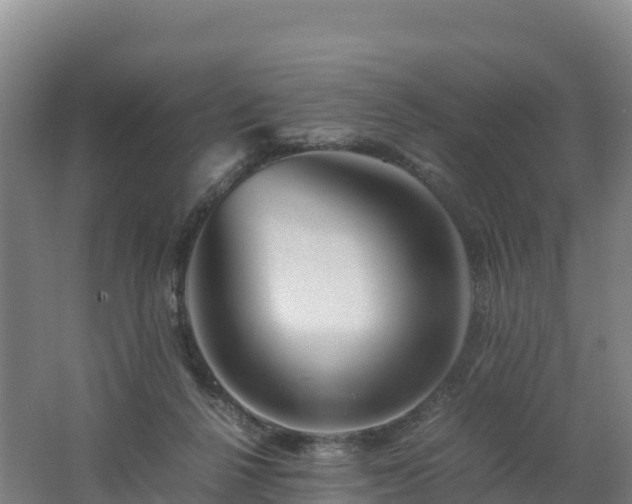 X0000062620264200512230954