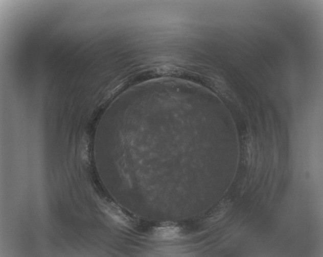 X0000062620266200512230954