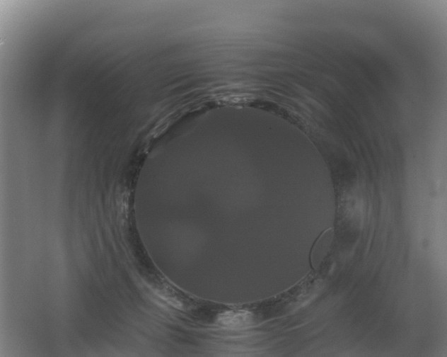 X0000062620271200512230954
