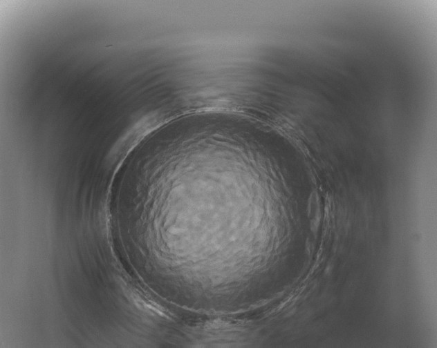 X0000062620290200512230954