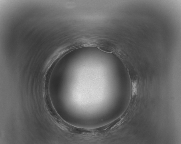 X0000062620291200512230954