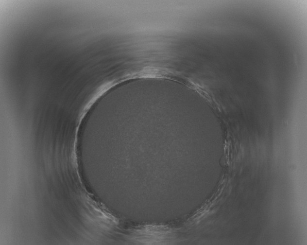 X0000062620292200512230954