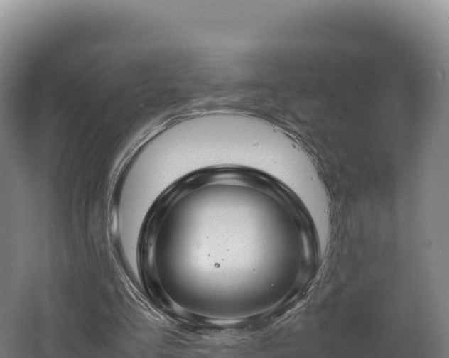 X0000062620293200512230954