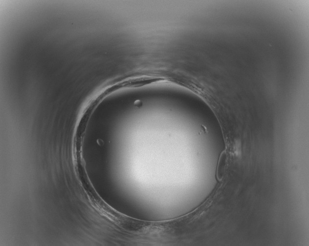 X0000062620294200512230954