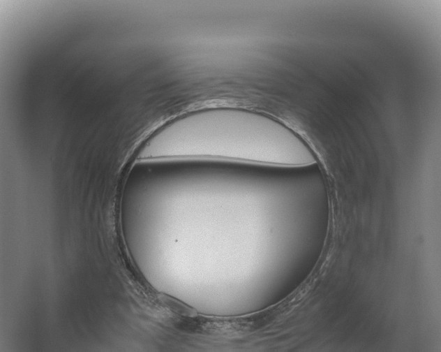 X0000062620297200512230954