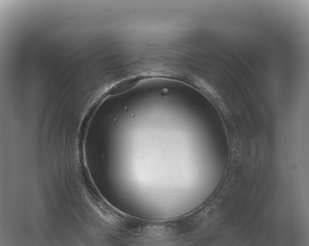X0000062620298200512230954