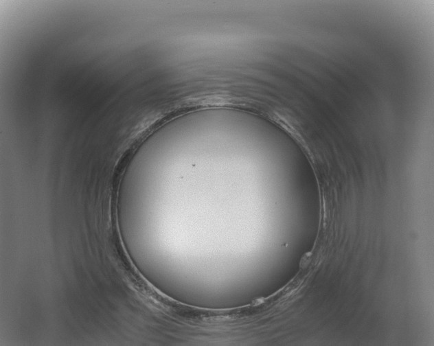 X0000062620301200512230954