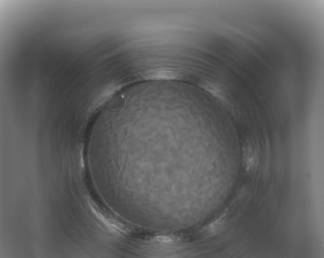 X0000062620302200512230954