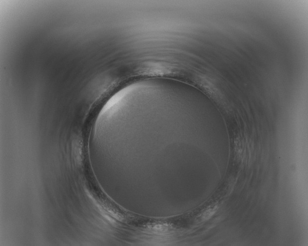 X0000062620304200512230954
